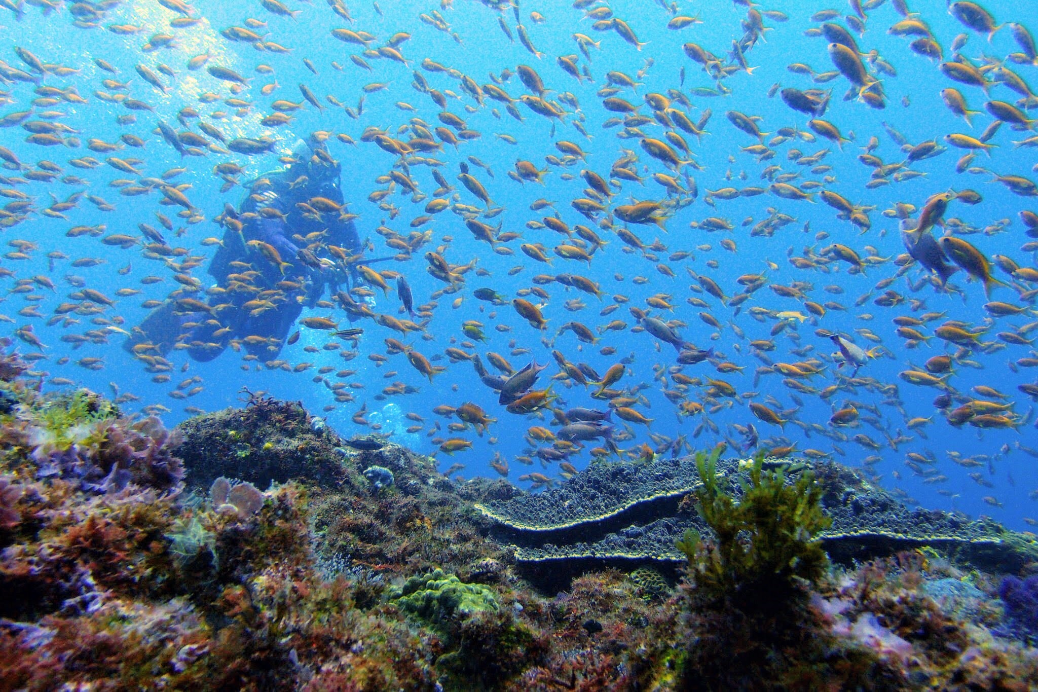 プロフィール背景画像