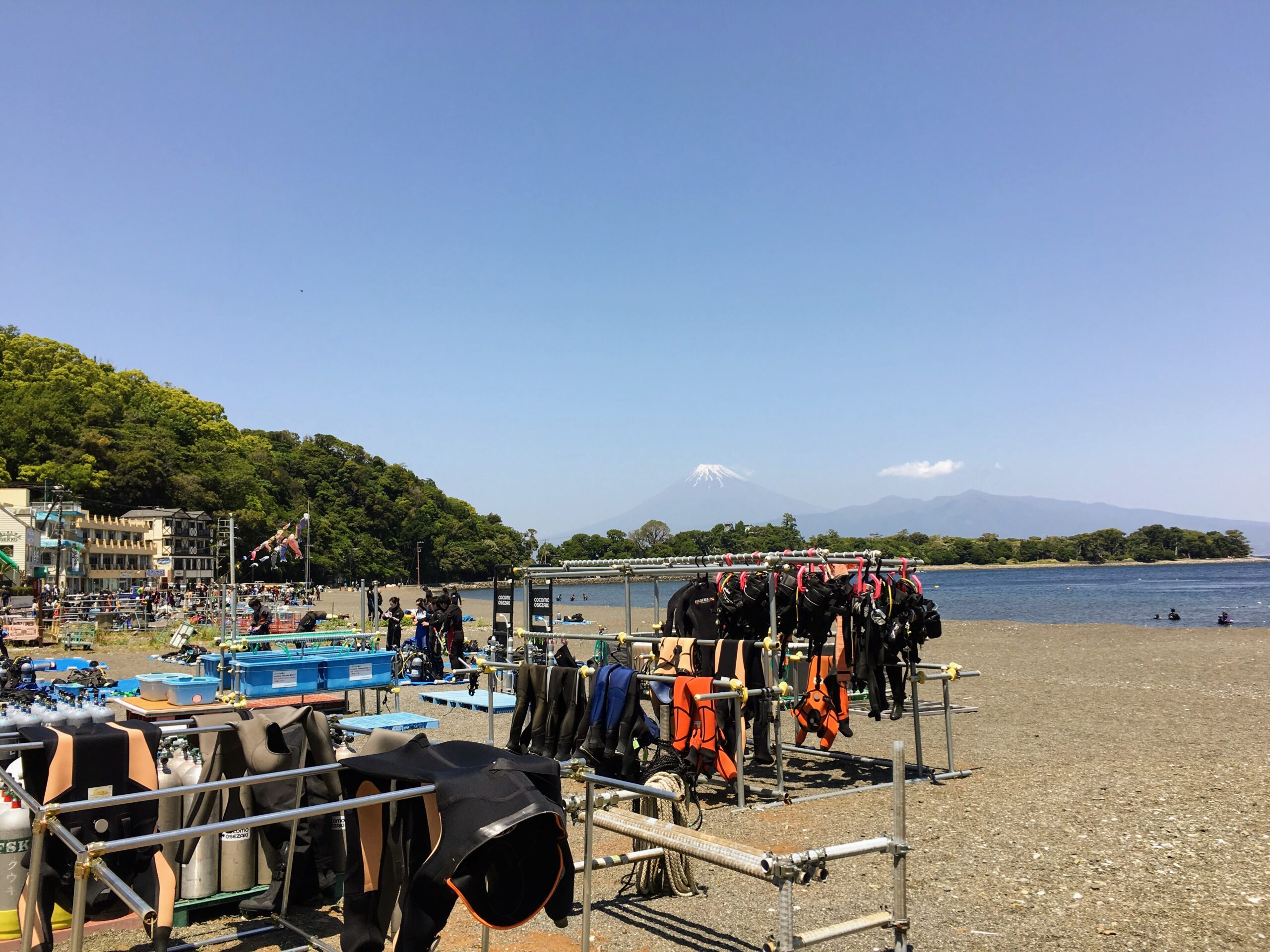 【初心者・女性必見】大瀬崎ダイビング完全ガイド！「聖地」と呼ばれる理由と安心の楽しみ方