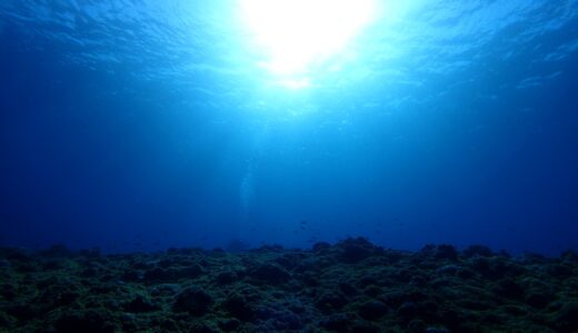 実は冬がベストシーズン？未経験者が今すぐダイビングライセンスを取るべき3つの理由