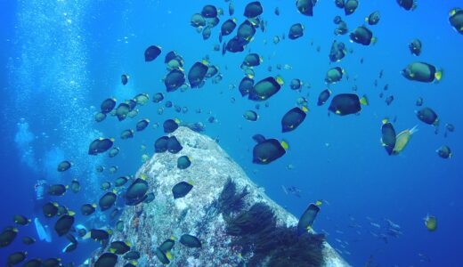 東京から行ける青いパラダイス！伊豆七島ってどんなところ？