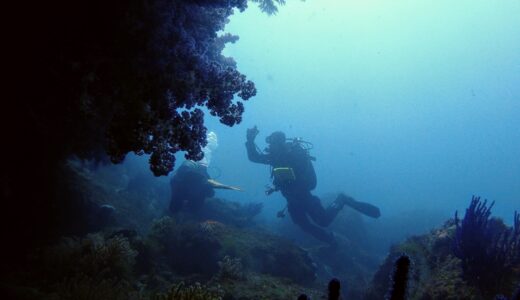 ダイビングを始めたい！と思ったら最初に読んでほしい「失敗しないための3ステップ」