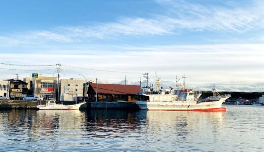 【三浦・城ヶ島】ダイバーが教える！海と一緒に楽しむダイビング×三浦半島の桜・お城・神社巡りガイド